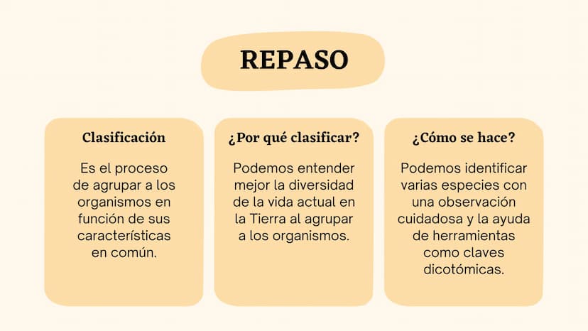 Clasificando
organismos
¿Cómo y por qué agrupamos
a los seres vivos?
いい
111 Enfoque de hoy
Clasificación
El rol de la clasificación
Herramie