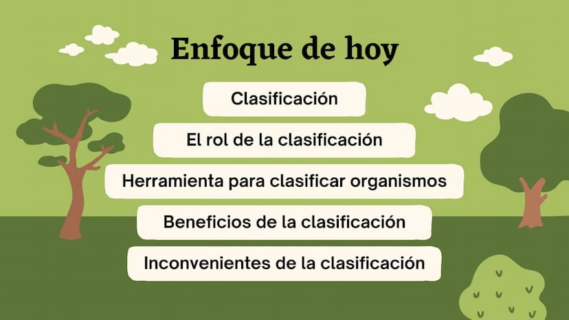 Clasificando
organismos
¿Cómo y por qué agrupamos
a los seres vivos?
いい
111 Enfoque de hoy
Clasificación
El rol de la clasificación
Herramie