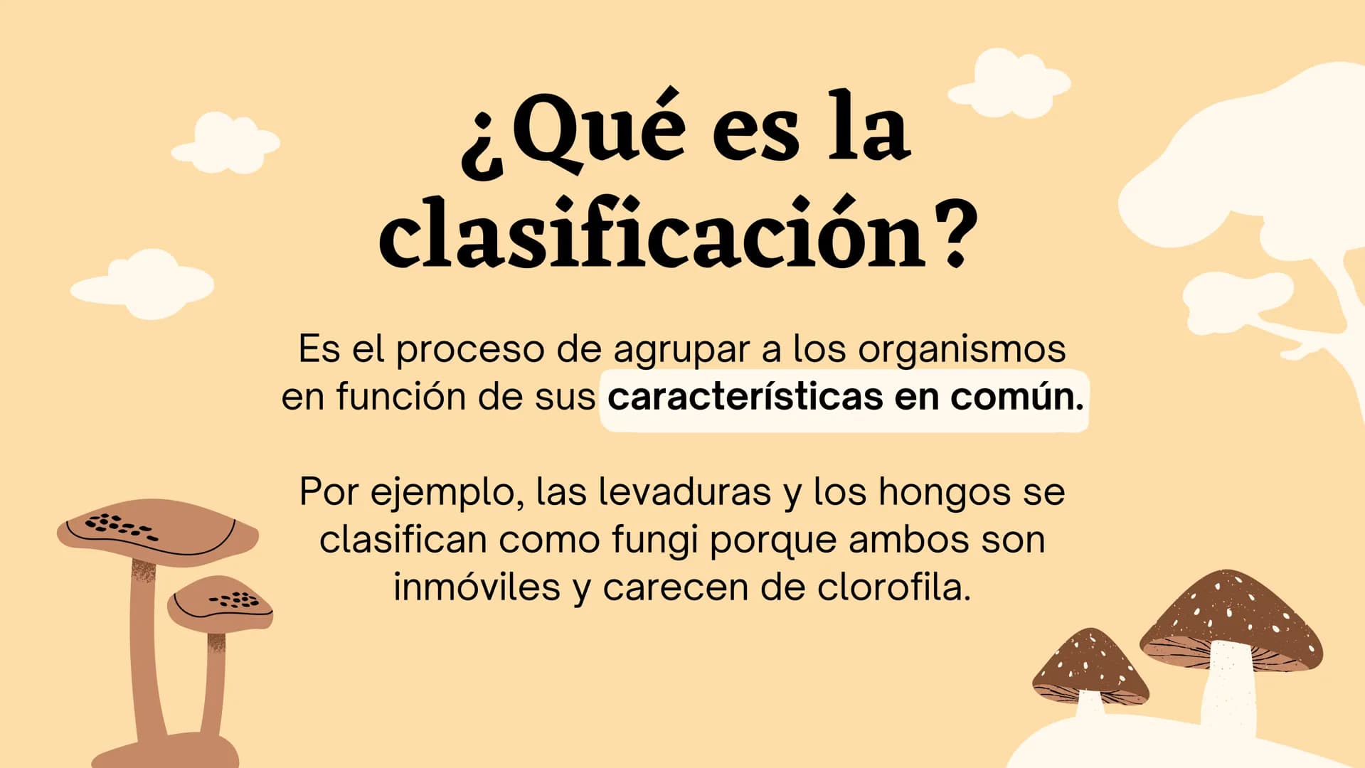 Clasificando
organismos
¿Cómo y por qué agrupamos
a los seres vivos?
いい
111 Enfoque de hoy
Clasificación
El rol de la clasificación
Herramie