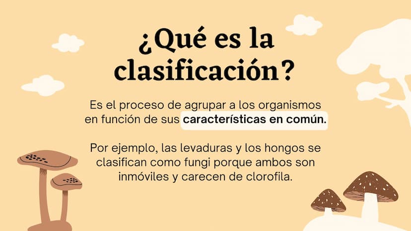 Clasificando
organismos
¿Cómo y por qué agrupamos
a los seres vivos?
いい
111 Enfoque de hoy
Clasificación
El rol de la clasificación
Herramie