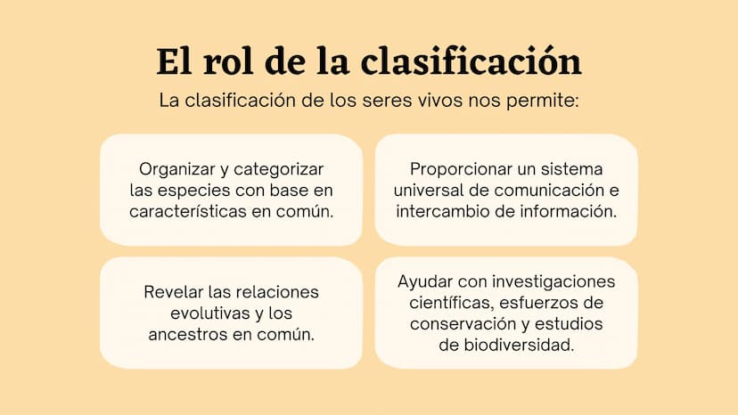 Clasificando
organismos
¿Cómo y por qué agrupamos
a los seres vivos?
いい
111 Enfoque de hoy
Clasificación
El rol de la clasificación
Herramie