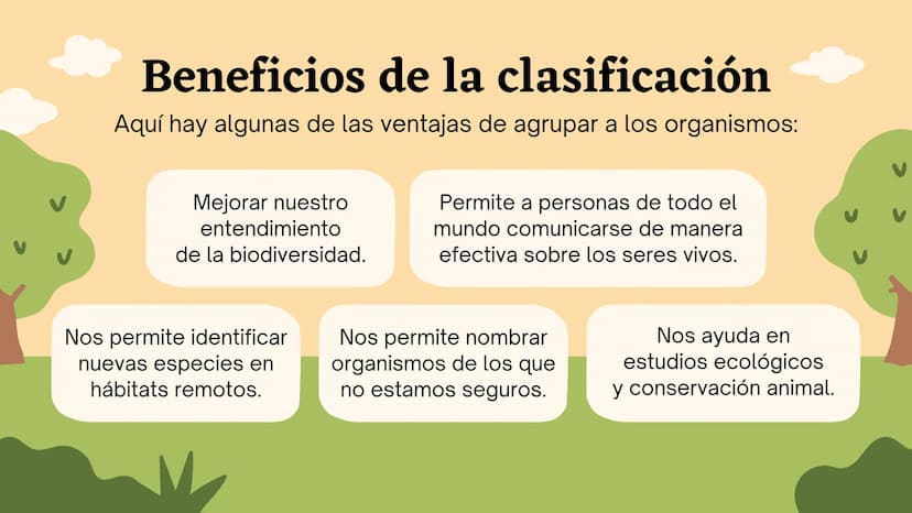 Clasificando
organismos
¿Cómo y por qué agrupamos
a los seres vivos?
いい
111 Enfoque de hoy
Clasificación
El rol de la clasificación
Herramie