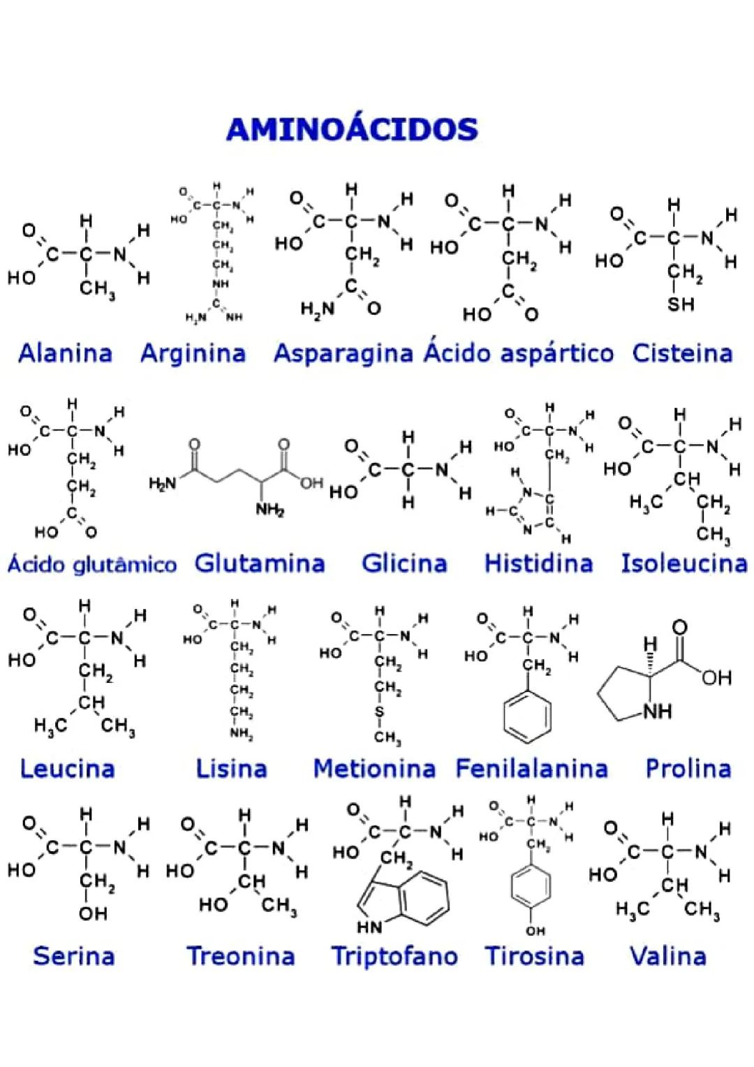 AMINOÁCIDOS 