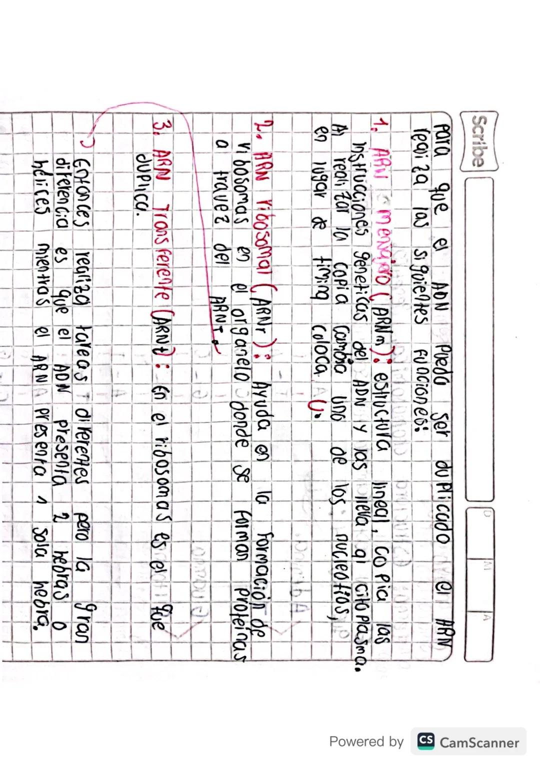 Son
CROMOSOMAS:
Cuerpos
en forma de bastoncillo
pequeños
Constituidos
de la cromatina del núcleo durante la división celular
Powered by CS C