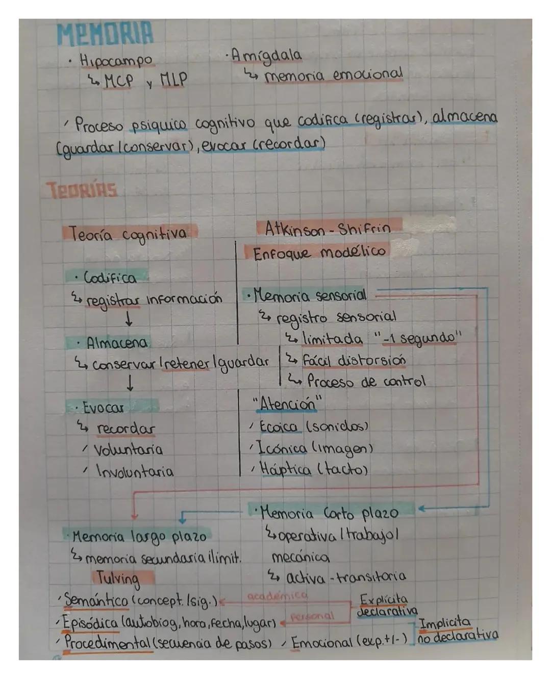 MEMORIA
Hipocampo
·Amígdala
MCP
MLP
memoria emocional
Y
Proceso psiquico cognitivo que codifica cregistrar), almacena
(guardar /conservar), 