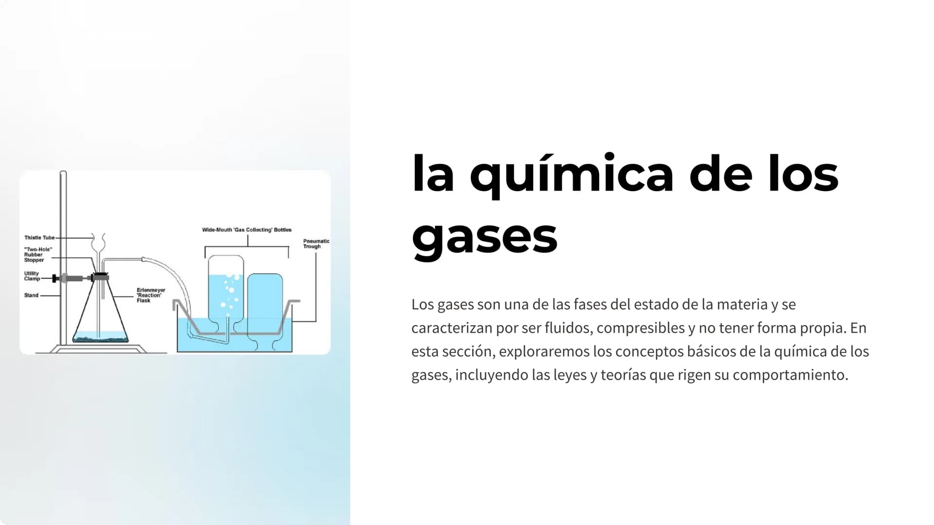 Thistle Tube-
"Two-Hole"
Rubber
Stopper
Utility
Clamp-
Stand
Erlenmeyer
"Reaction
Flask
Wide-Mouth 'Gas Collecting' Bottles
Pneumatic
Trough