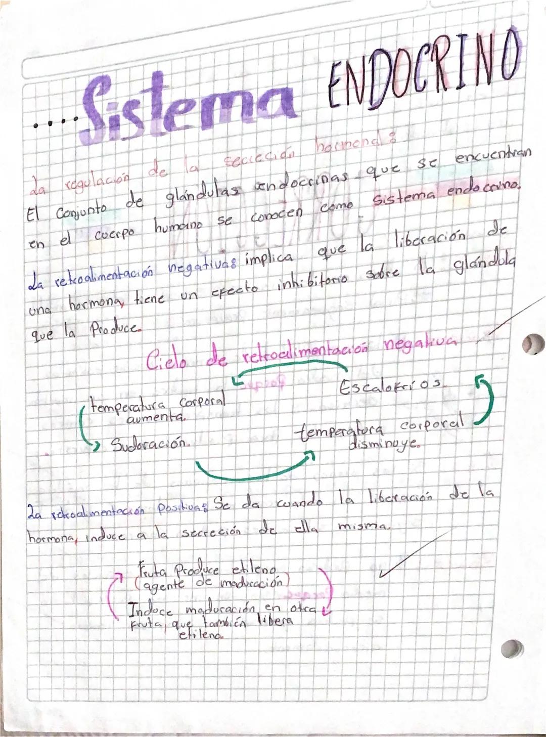 da
··Sistema ENDOCRINO
secreción
hormona &
El Conjunto de glándulas endocrinas que se encuentran
La regulación de
en
el
Cuerpo
humano se
Con