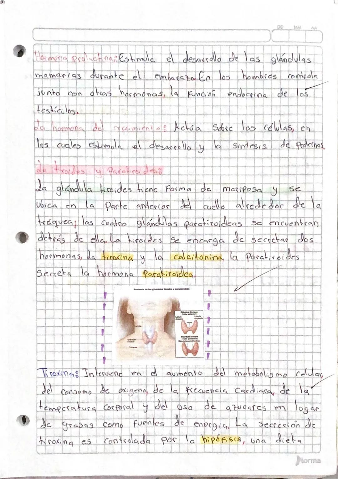 da
··Sistema ENDOCRINO
secreción
hormona &
El Conjunto de glándulas endocrinas que se encuentran
La regulación de
en
el
Cuerpo
humano se
Con