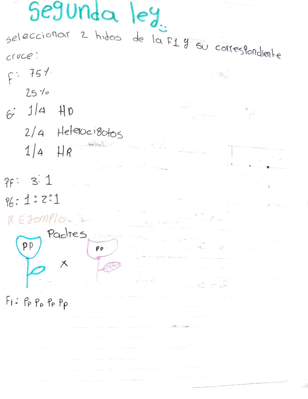 # Segunda ley

seleccionar 2 hitos de la F1 y su correspondiente
cruce:

F: 75%.

25%

6 1/4 HD

2/4 Heterocigotos

1/4 HR

PF: 3:1

P6:1:2: