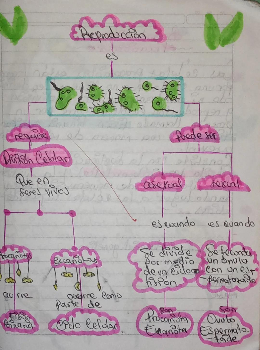 ●Preproducción
es
G.
requiere ab
Digion Cellar Busch als
Que en
Seres vivos
Puede ser
Dhanal
be asexual sexual
es evando es Quando
Procanota