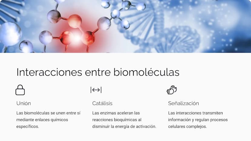 Bioquímica:
Estructura y función de
biomoléculas
Exploremos los conceptos fundamentales de la bioquímica,
desde la estructura hasta las func