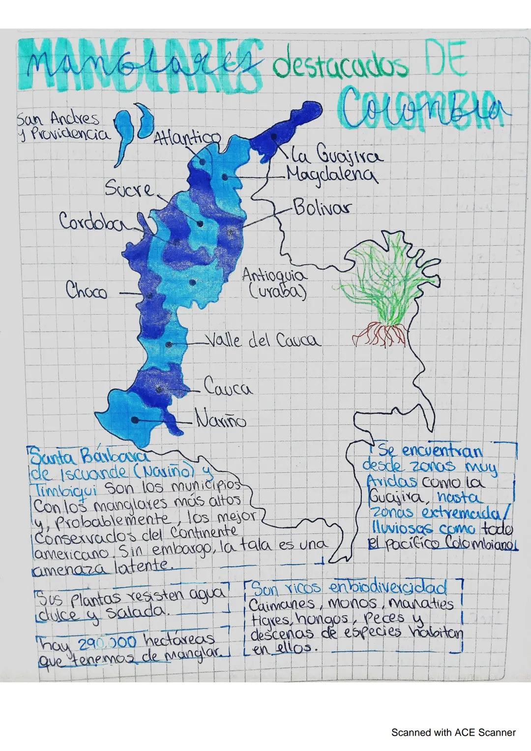 MANGLAREA destacados DE
San Andres
Providencia
P
Sucre
Cordoba
Colombia
Atlantico
La Guajira
Magdalena
-Bolivar
Choco
Santa Barbara
Antioqui