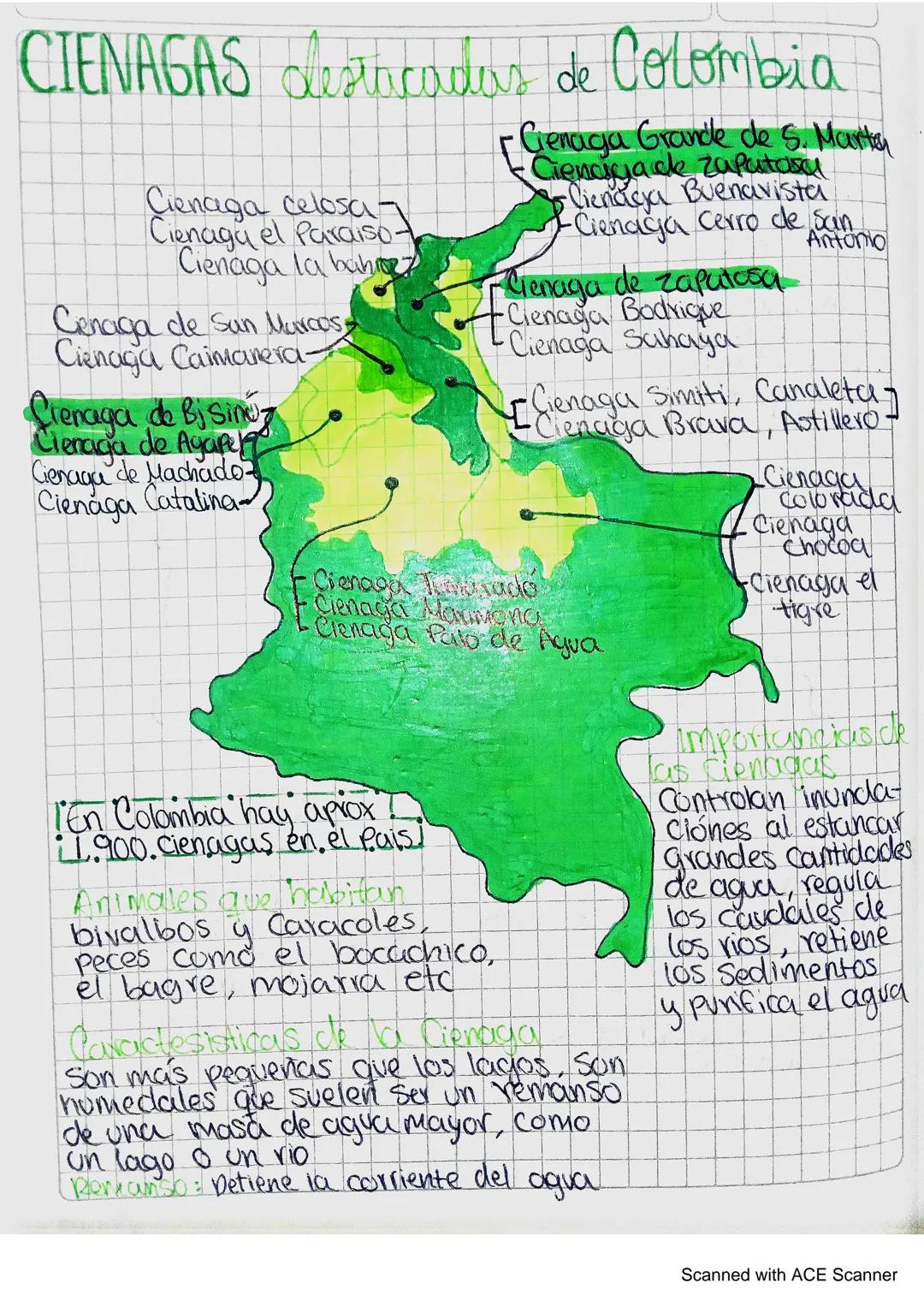 MANGLAREA destacados DE
San Andres
Providencia
P
Sucre
Cordoba
Colombia
Atlantico
La Guajira
Magdalena
-Bolivar
Choco
Santa Barbara
Antioqui