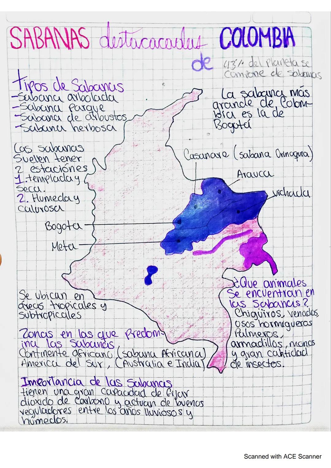MANGLAREA destacados DE
San Andres
Providencia
P
Sucre
Cordoba
Colombia
Atlantico
La Guajira
Magdalena
-Bolivar
Choco
Santa Barbara
Antioqui
