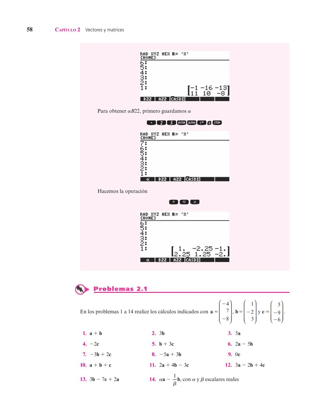 Capítulo
Vectores y matrices
2
▲ En el estudio de sistemas complejos, un objeto de interés son las redes formadas por elementos conectados e