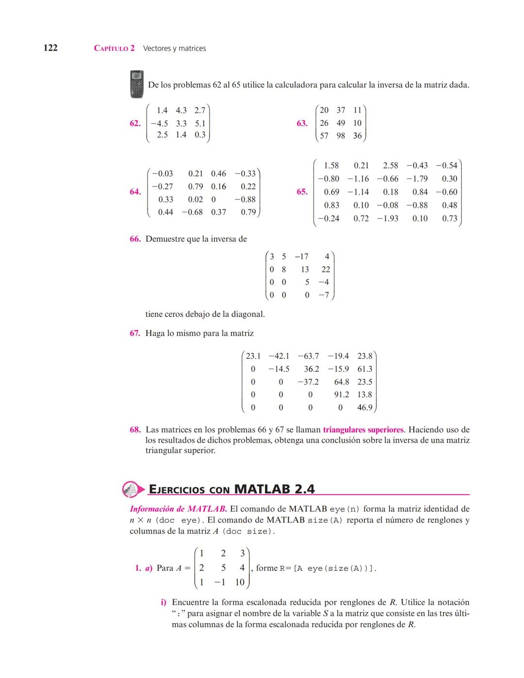Capítulo
Vectores y matrices
2
▲ En el estudio de sistemas complejos, un objeto de interés son las redes formadas por elementos conectados e