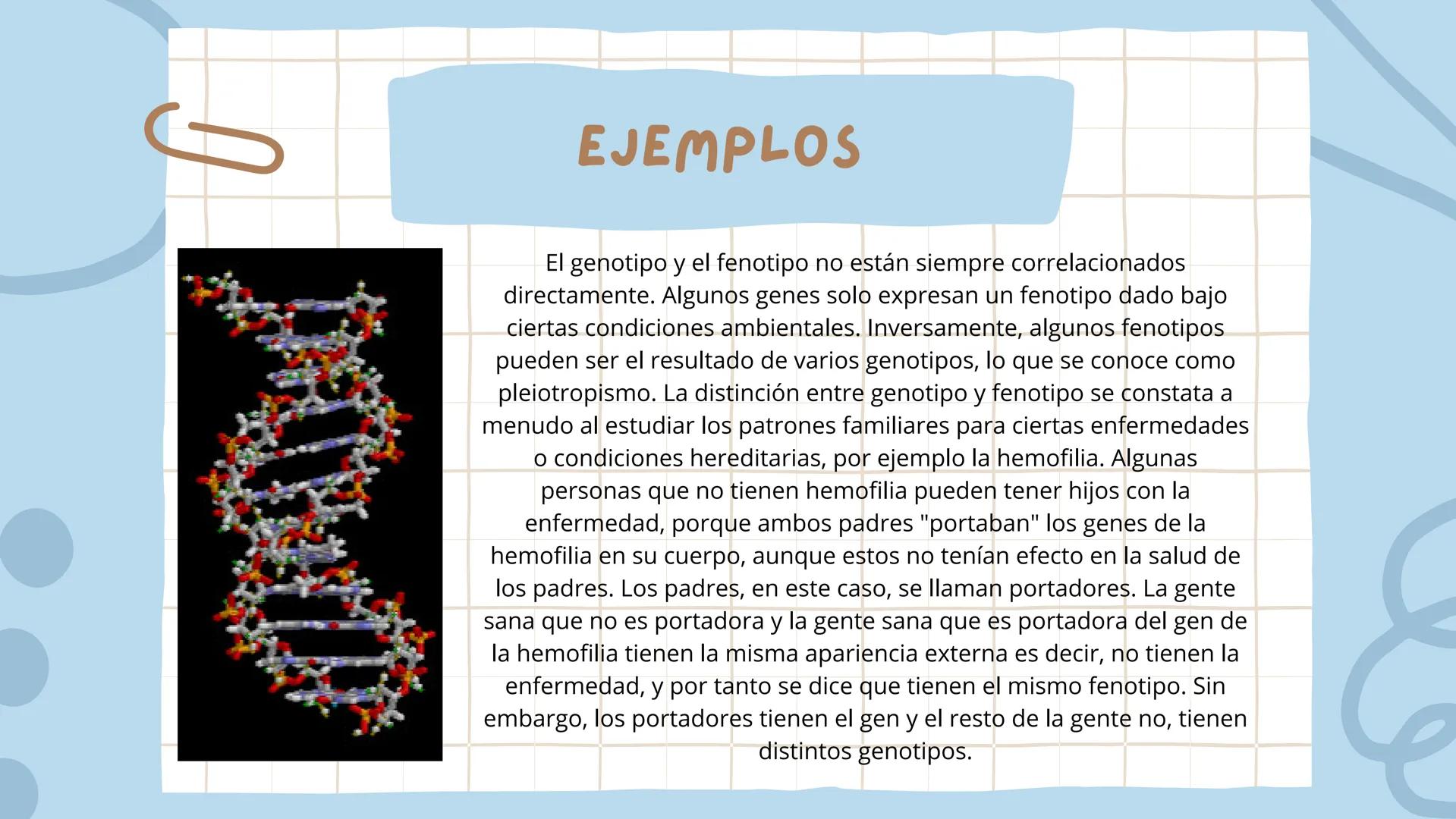 FENOTIPO Y GENOTIPO
Grado:9 ¿FENOTIPO QUE ES?
En biología y específicamente en genética, se denomina
fenotipo a la expresión del genotipo en