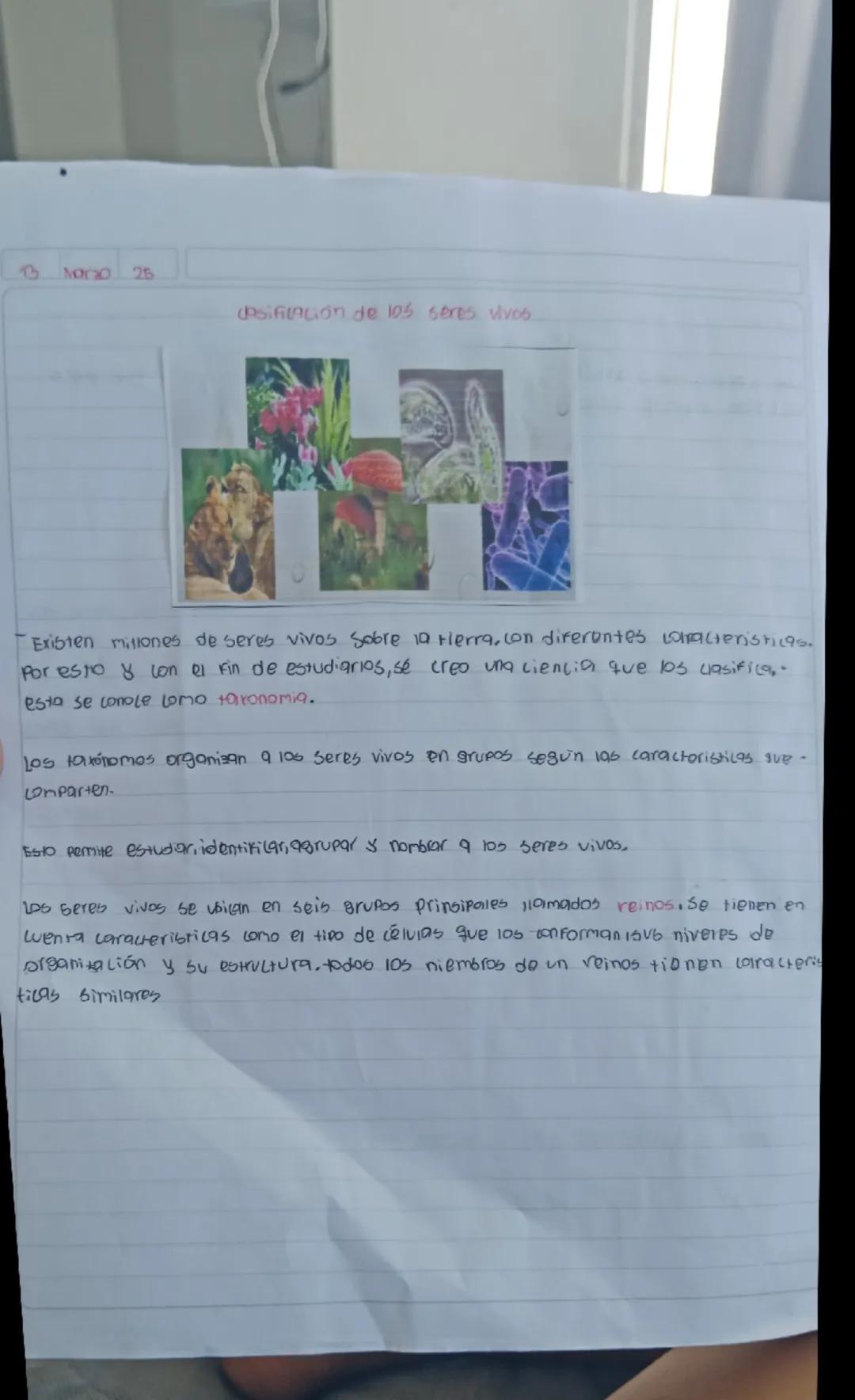 13 N0030 25

Asificación de 105 seres vίνος

Existen millones de seres vivos sobre la tierra, con diferentes caracteristicas.
Por esto y con