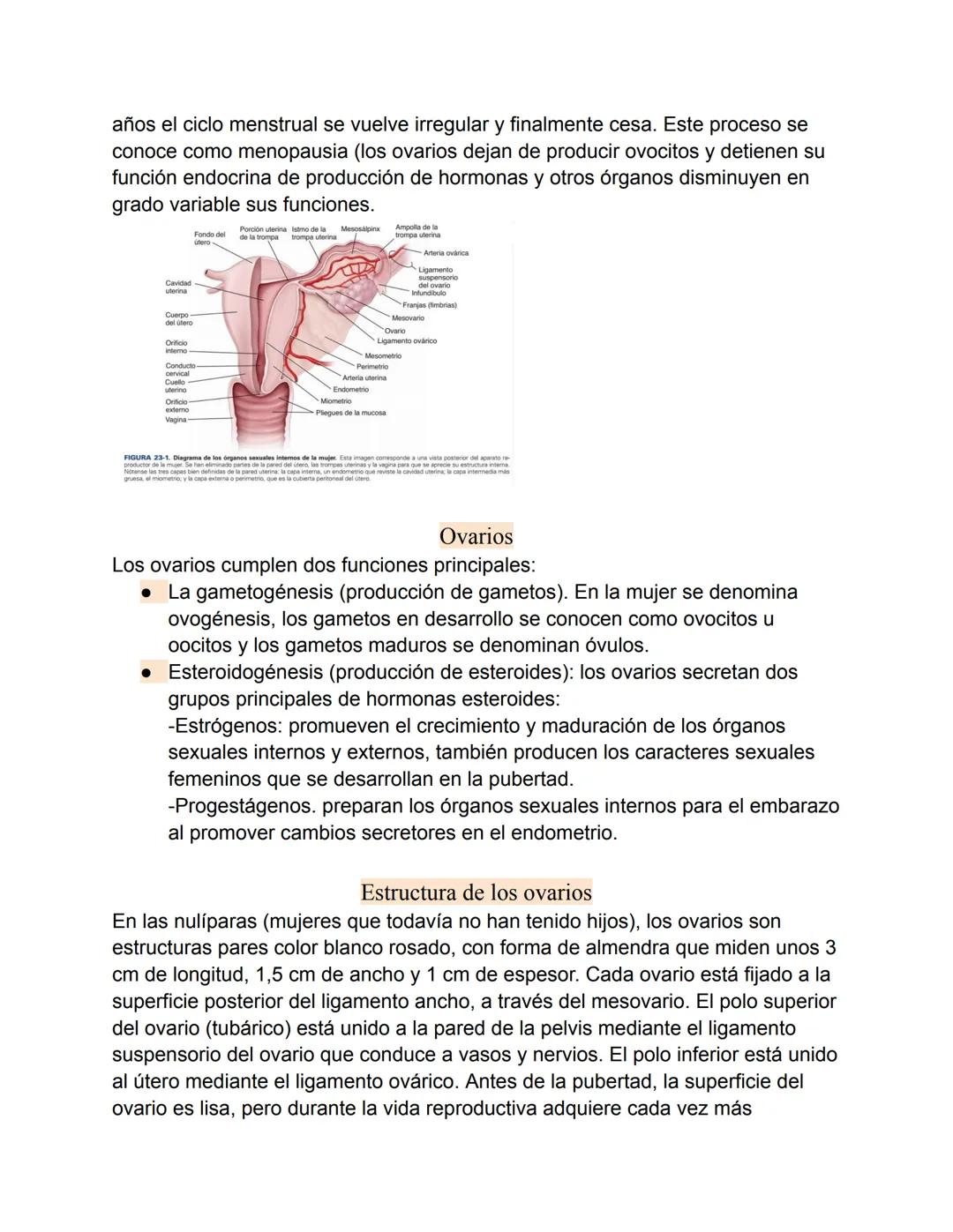 Aparato reproductor femenino-Valentina Becerra
Fundamentos del aparato reproductor femenino
El aparato genital femenino está compuesto por ó