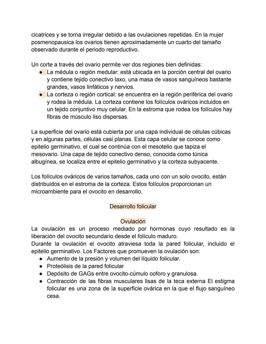 Aparato reproductor femenino-Valentina Becerra
Fundamentos del aparato reproductor femenino
El aparato genital femenino está compuesto por ó