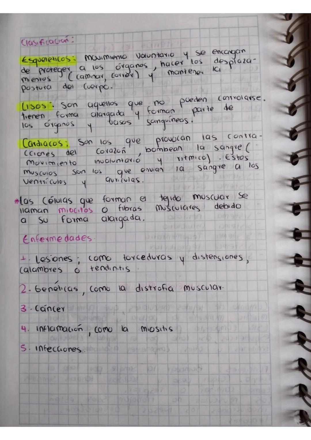# Sistemas del Cuerpo
humano.

Los Sistemas del Cuerpo son conjunto de organos,
tejidos y células que trabajan de manera
Coordinada para lle