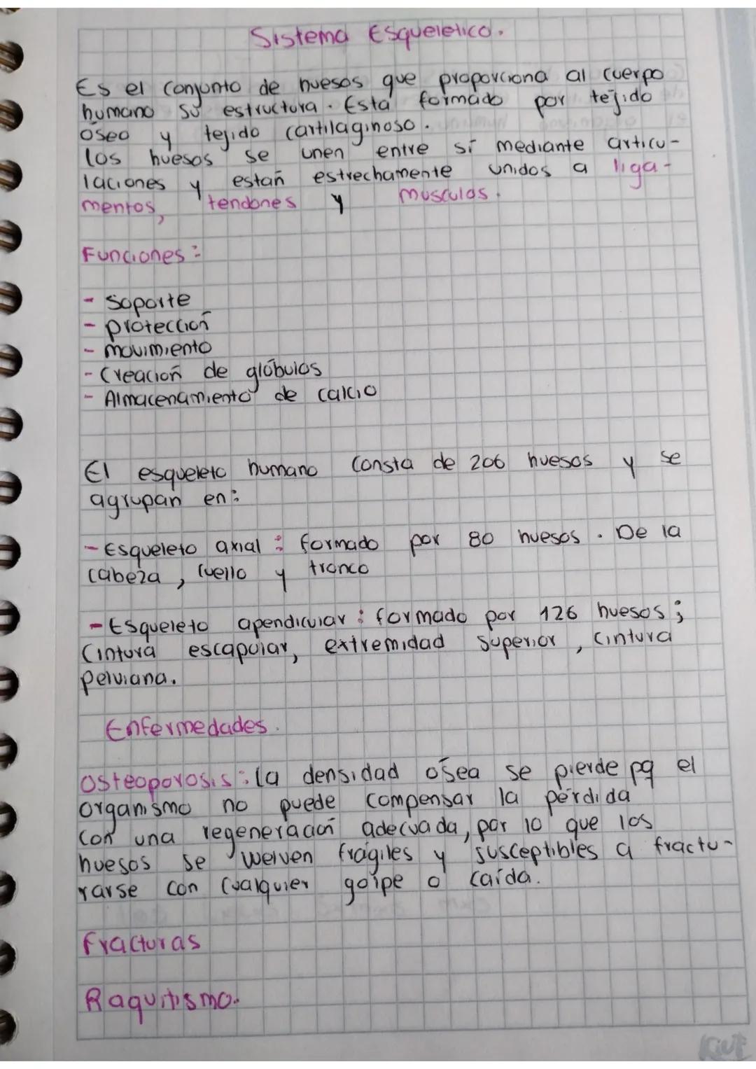 # Sistemas del Cuerpo
humano.

Los Sistemas del Cuerpo son conjunto de organos,
tejidos y células que trabajan de manera
Coordinada para lle
