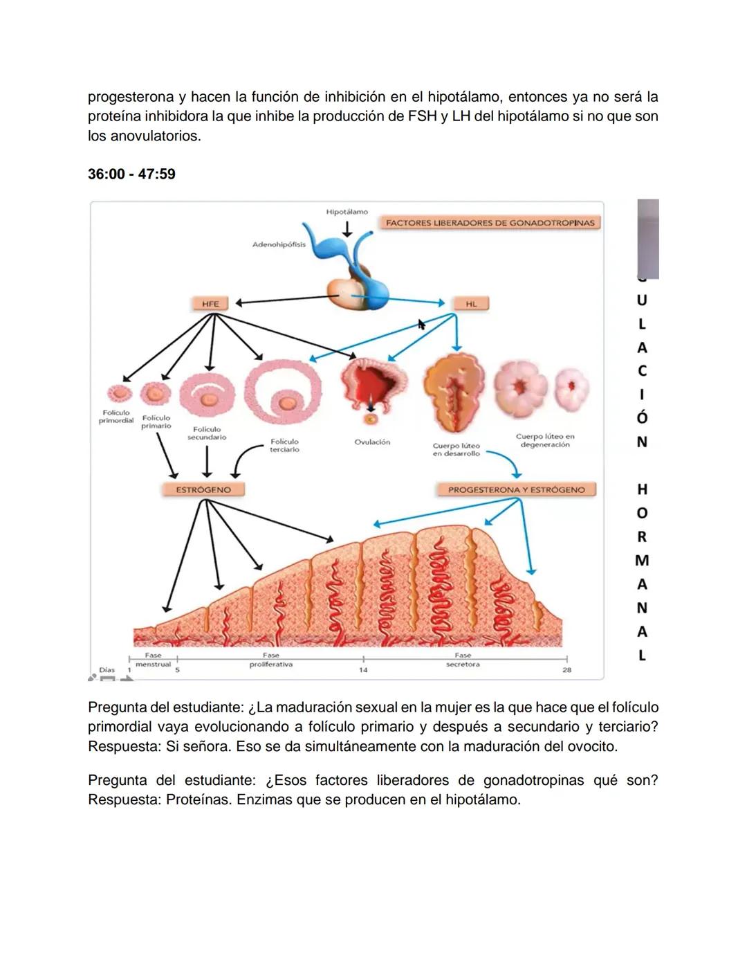 Transcripción clase de embriología - 22/10/20 - 9 a 11 a.m.
Tema de la clase: Gametogénesis, fecundación y período embrionario (1ª a 3ª
sema