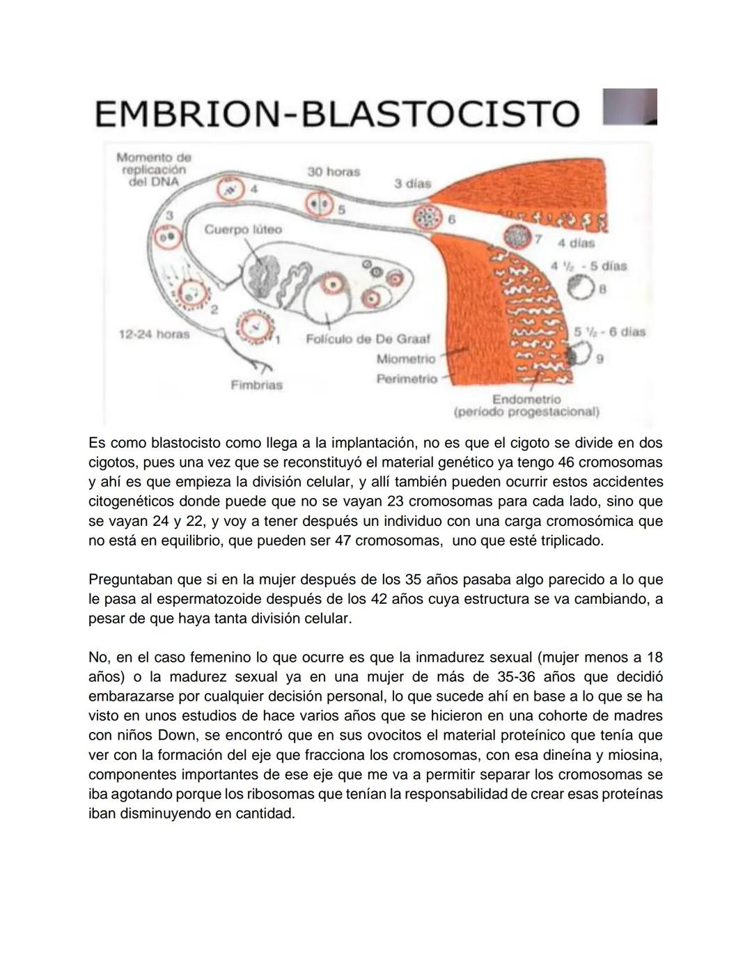 Transcripción clase de embriología - 22/10/20 - 9 a 11 a.m.
Tema de la clase: Gametogénesis, fecundación y período embrionario (1ª a 3ª
sema