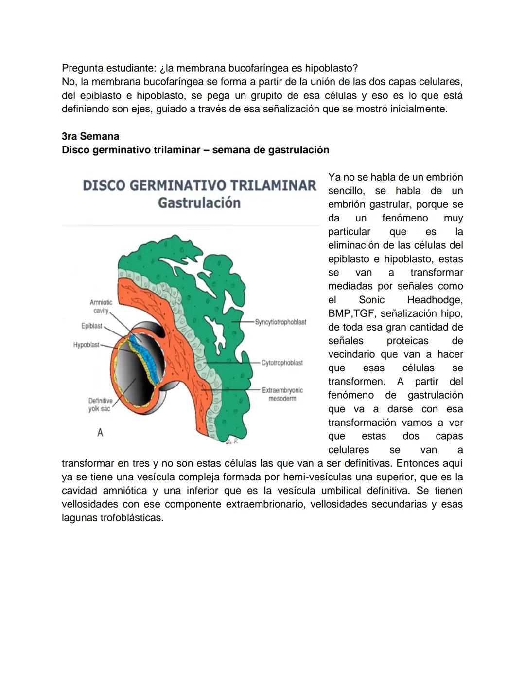 Transcripción clase de embriología - 22/10/20 - 9 a 11 a.m.
Tema de la clase: Gametogénesis, fecundación y período embrionario (1ª a 3ª
sema