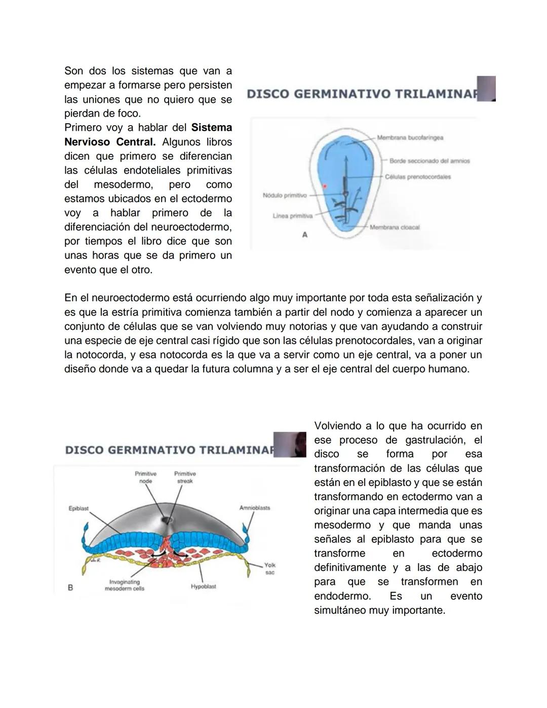 Transcripción clase de embriología - 22/10/20 - 9 a 11 a.m.
Tema de la clase: Gametogénesis, fecundación y período embrionario (1ª a 3ª
sema