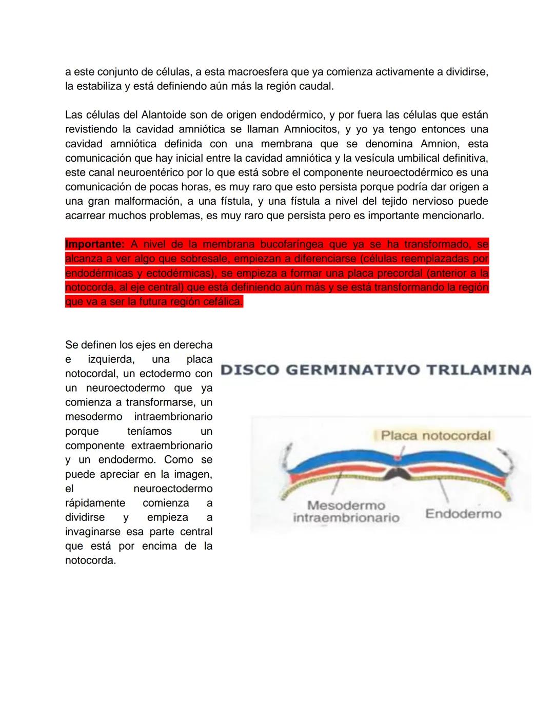Transcripción clase de embriología - 22/10/20 - 9 a 11 a.m.
Tema de la clase: Gametogénesis, fecundación y período embrionario (1ª a 3ª
sema