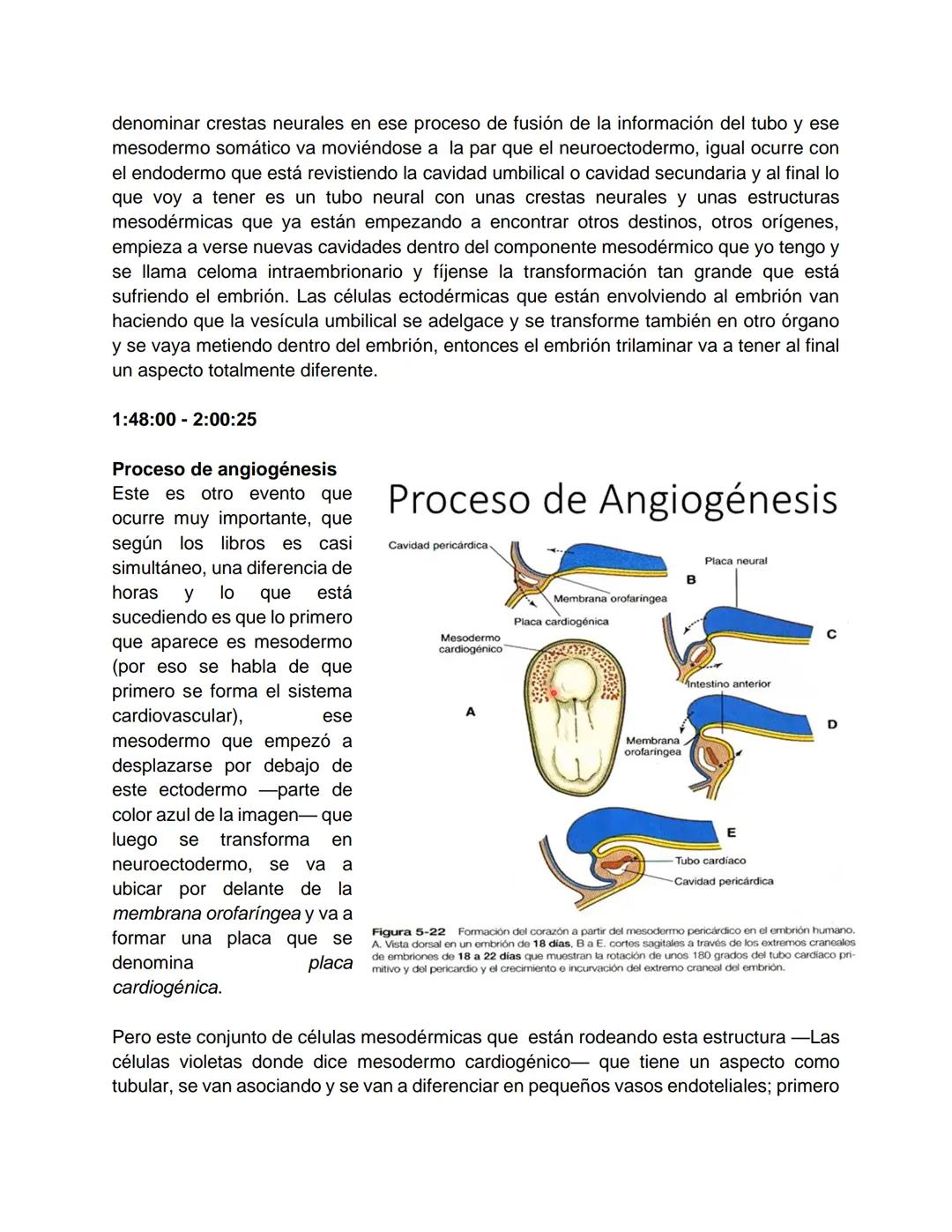 Transcripción clase de embriología - 22/10/20 - 9 a 11 a.m.
Tema de la clase: Gametogénesis, fecundación y período embrionario (1ª a 3ª
sema