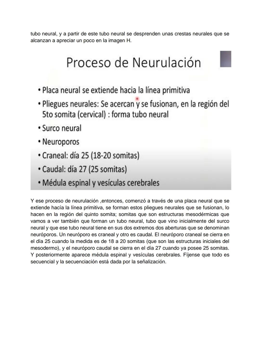 Transcripción clase de embriología - 22/10/20 - 9 a 11 a.m.
Tema de la clase: Gametogénesis, fecundación y período embrionario (1ª a 3ª
sema