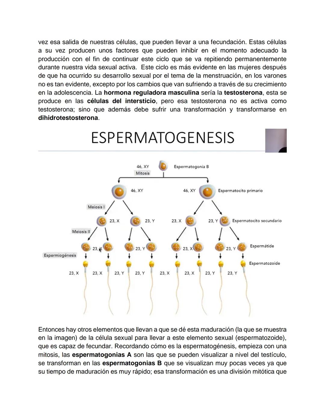 Transcripción clase de embriología - 22/10/20 - 9 a 11 a.m.
Tema de la clase: Gametogénesis, fecundación y período embrionario (1ª a 3ª
sema