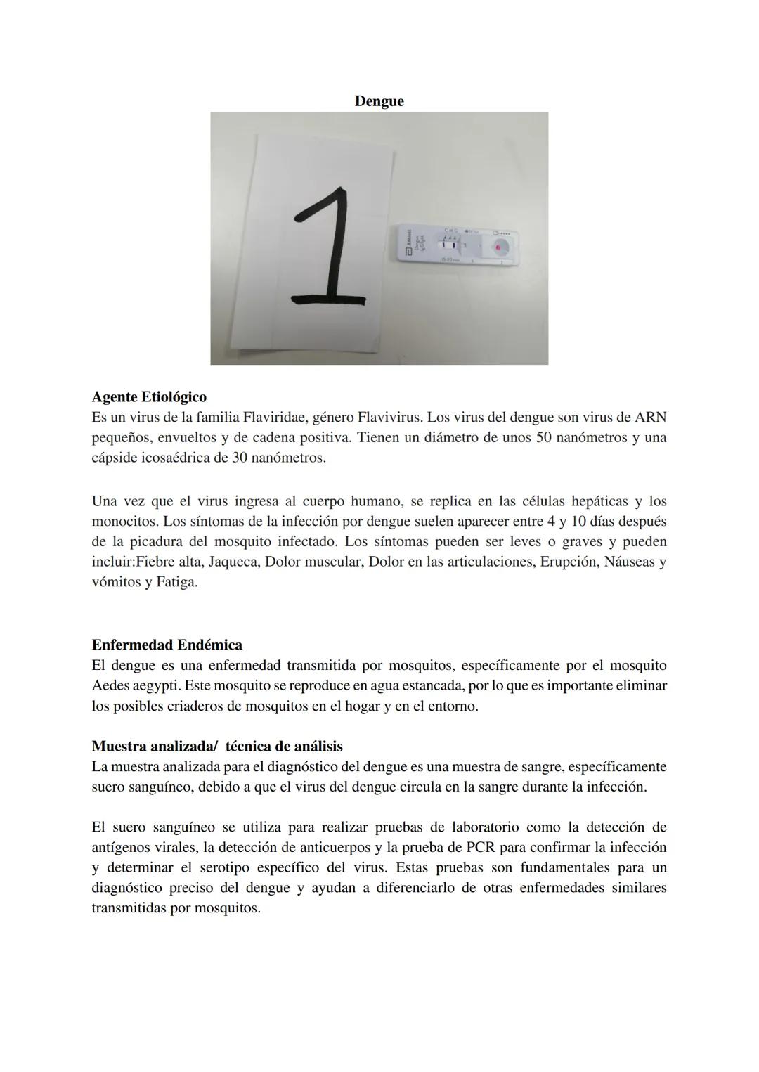 Dengue
1
Agente Etiológico
Es un virus de la familia Flaviridae, género Flavivirus. Los virus del dengue son virus de ARN
pequeños, envuelto