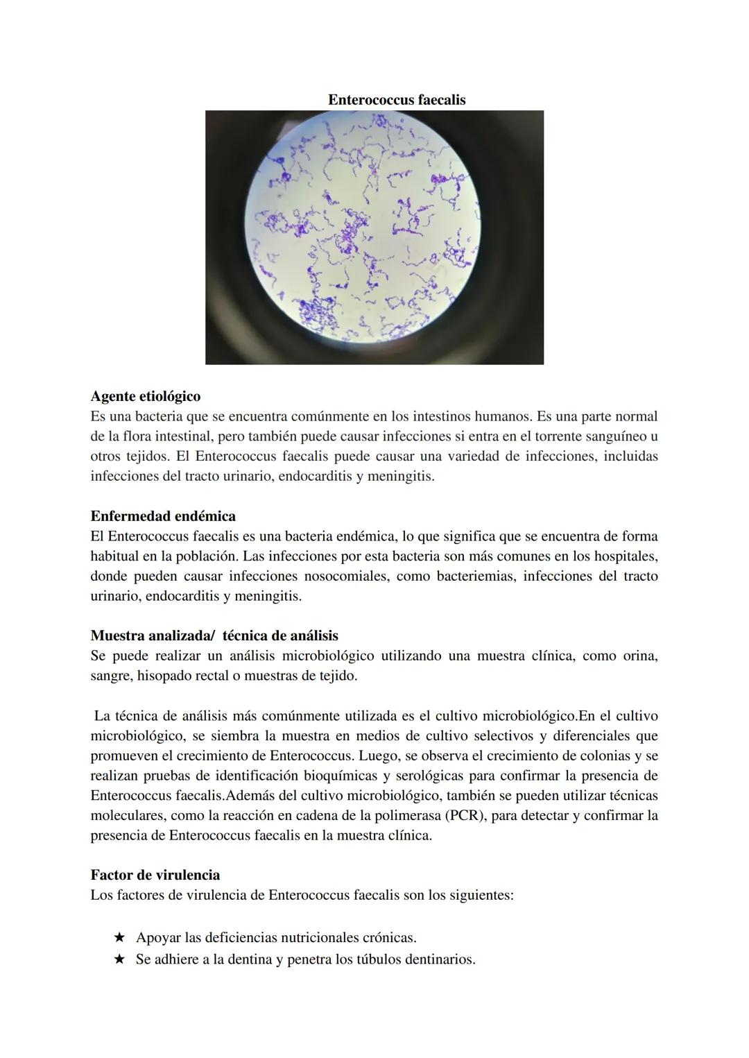 Dengue
1
Agente Etiológico
Es un virus de la familia Flaviridae, género Flavivirus. Los virus del dengue son virus de ARN
pequeños, envuelto
