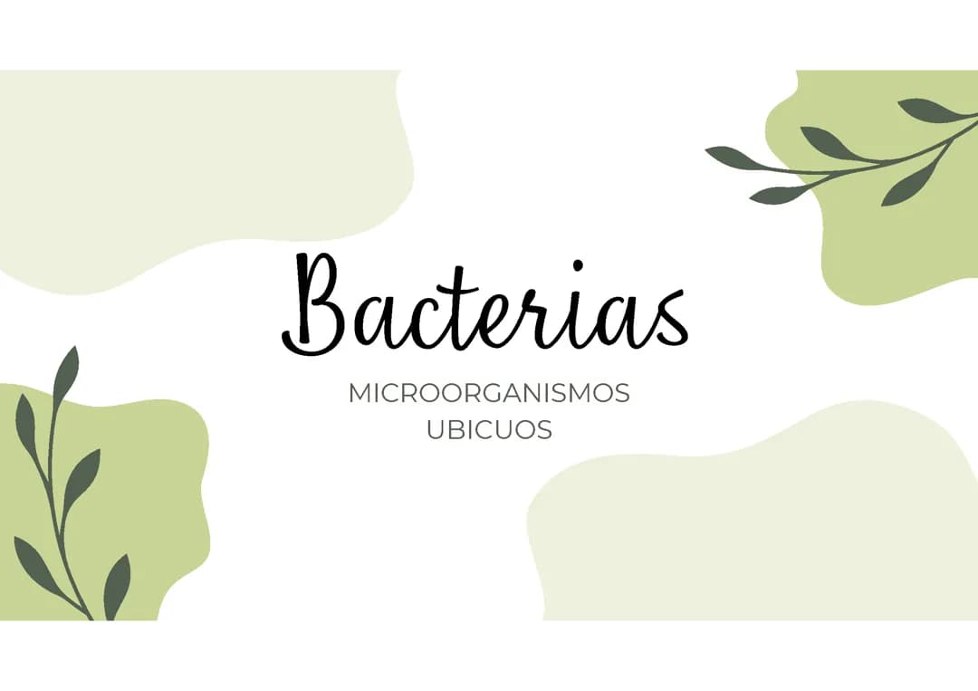 Bacterias