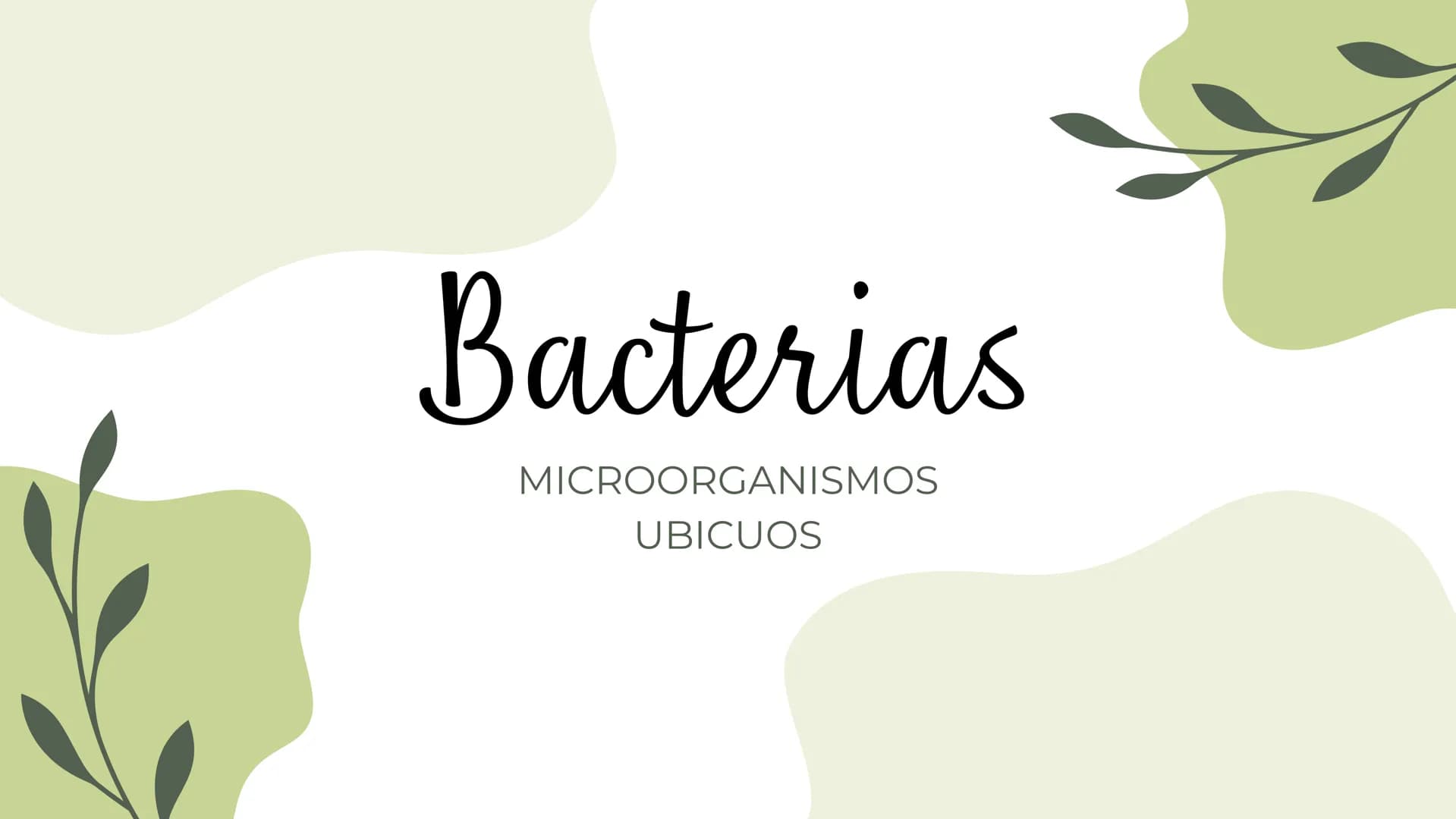 Bacterias
MICROORGANISMOS
UBICUOS Las bacterias son microorganismos
unicelulares existen en una amplia
que
variedad de ambientes, incluyendo