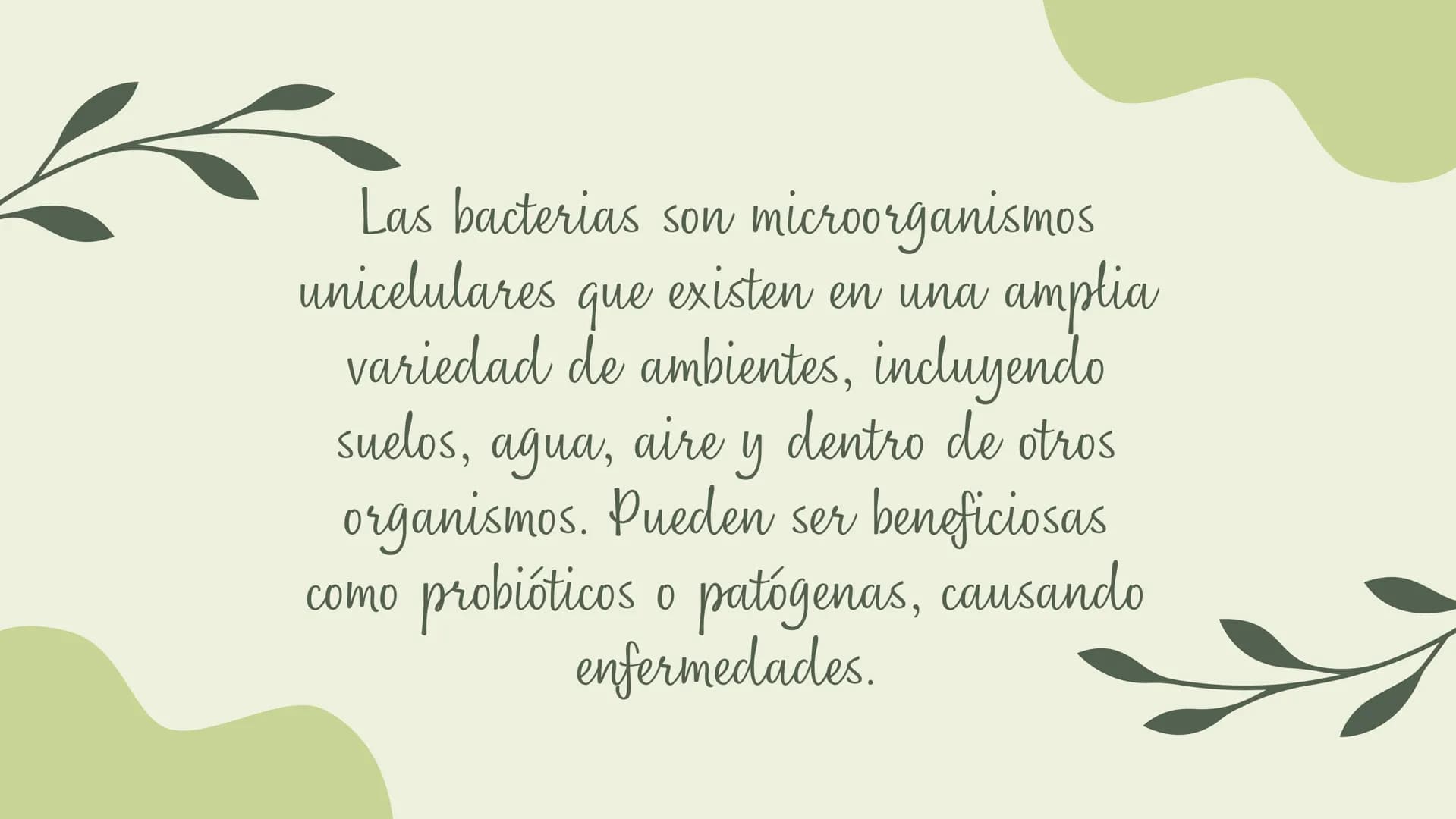 Bacterias
MICROORGANISMOS
UBICUOS Las bacterias son microorganismos
unicelulares existen en una amplia
que
variedad de ambientes, incluyendo