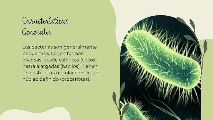 Bacterias
MICROORGANISMOS
UBICUOS Las bacterias son microorganismos
unicelulares existen en una amplia
que
variedad de ambientes, incluyendo
