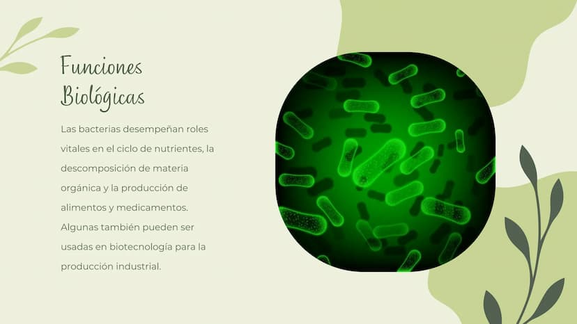 Bacterias
MICROORGANISMOS
UBICUOS Las bacterias son microorganismos
unicelulares existen en una amplia
que
variedad de ambientes, incluyendo