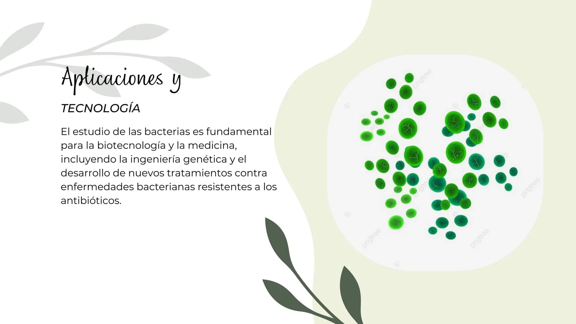 Bacterias
MICROORGANISMOS
UBICUOS Las bacterias son microorganismos
unicelulares existen en una amplia
que
variedad de ambientes, incluyendo