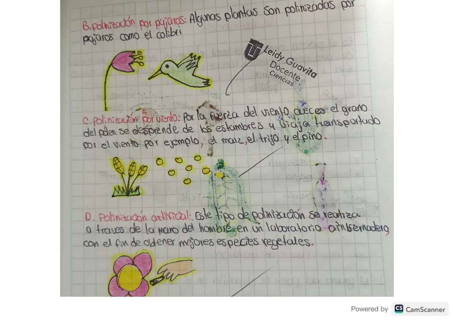 102/23

La polinización

Es el proceso de transferencia del polén de los estumbres.
hasta el estigma corde germina y recunda los ovulos de l