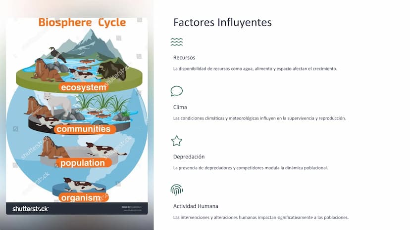 Poblaciones: Crecimiento,
Densidad, Distribución, Estructura
de Edades
Exploraremos las características fundamentales de las
las poblaciones