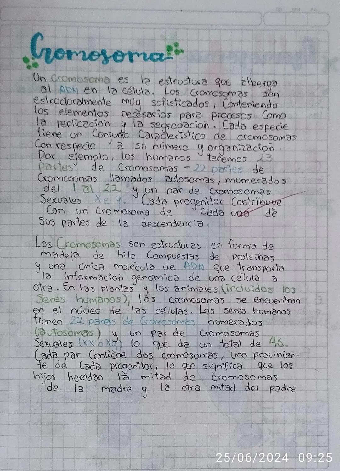 # Cromosoma

Un Cromosoma es la estructura que alberga
al ADN en la célula. Los Cromosomas son
estructuralmente muy sofisticados, Conteniend