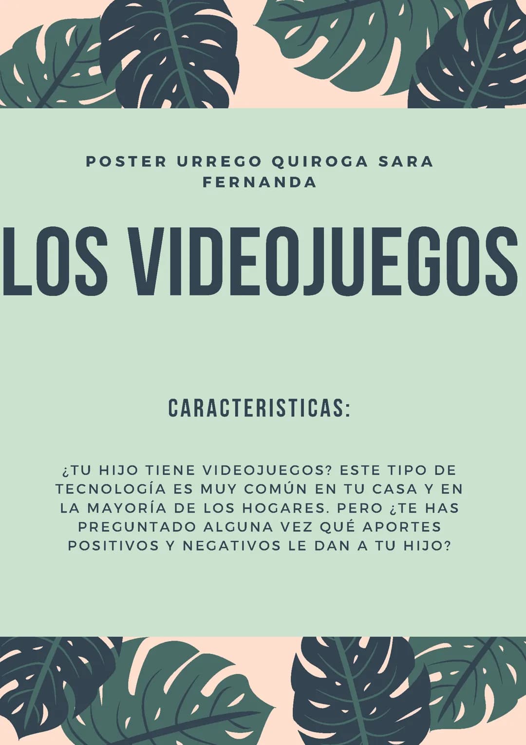 Los videojuegos 