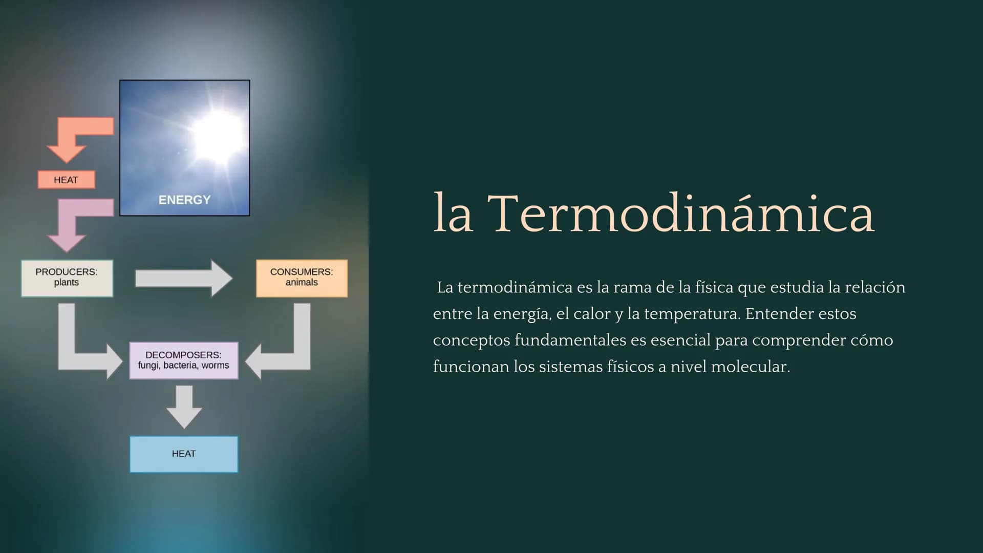 جارجا
ENERGY
PRODUCERS:
plants
L
DECOMPOSERS:
fungi, bacteria, worms
HEAT
CONSUMERS:
animals
la Termodinámica
La termodinámica es la rama de
