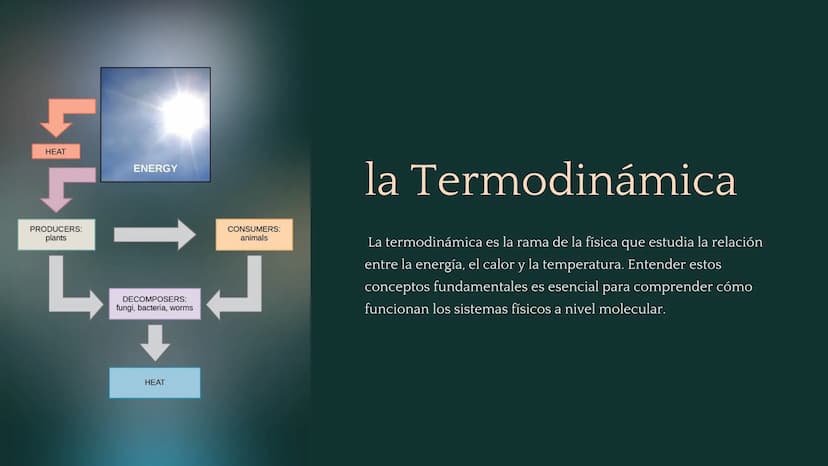 جارجا
ENERGY
PRODUCERS:
plants
L
DECOMPOSERS:
fungi, bacteria, worms
HEAT
CONSUMERS:
animals
la Termodinámica
La termodinámica es la rama de