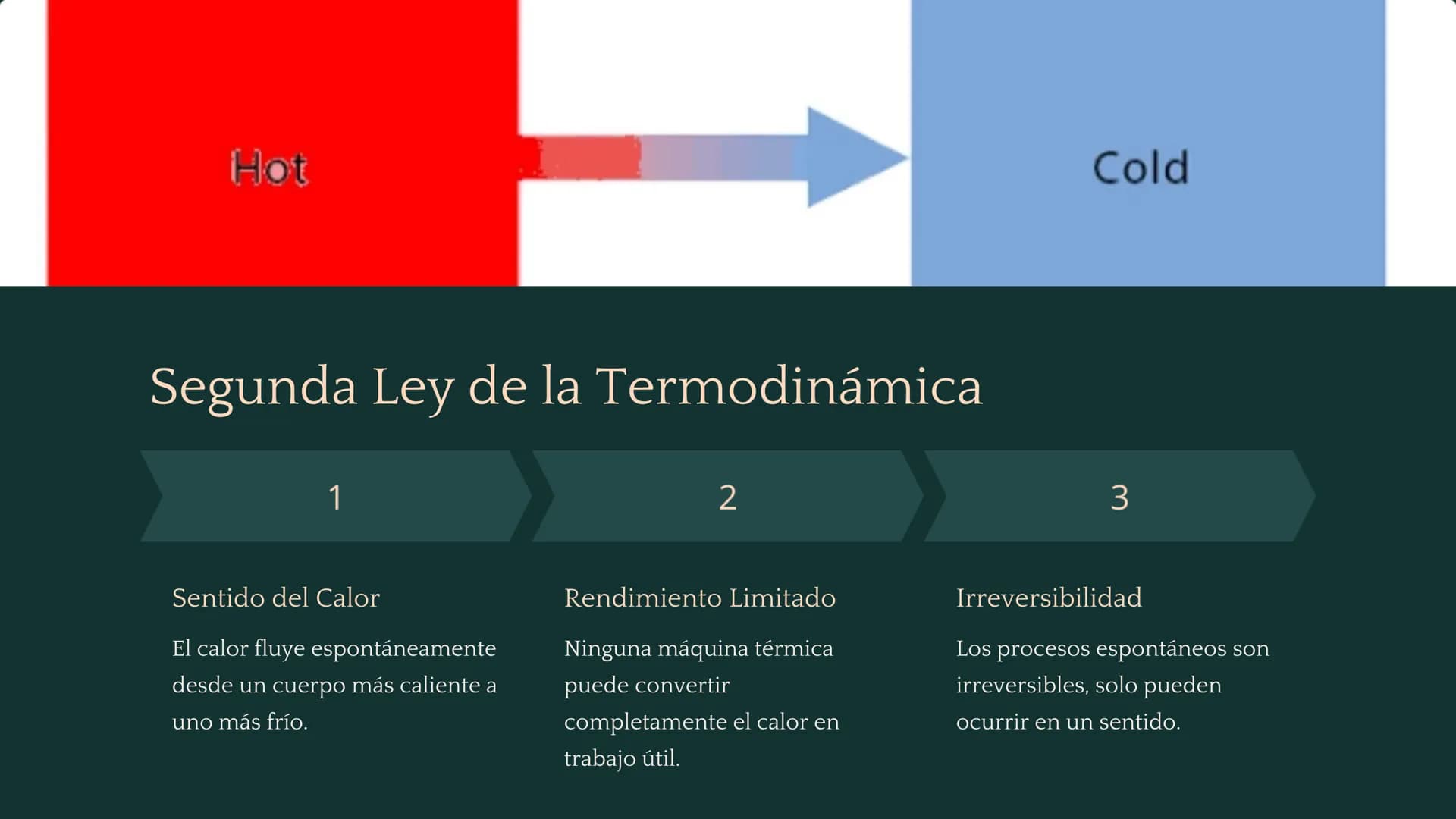 جارجا
ENERGY
PRODUCERS:
plants
L
DECOMPOSERS:
fungi, bacteria, worms
HEAT
CONSUMERS:
animals
la Termodinámica
La termodinámica es la rama de