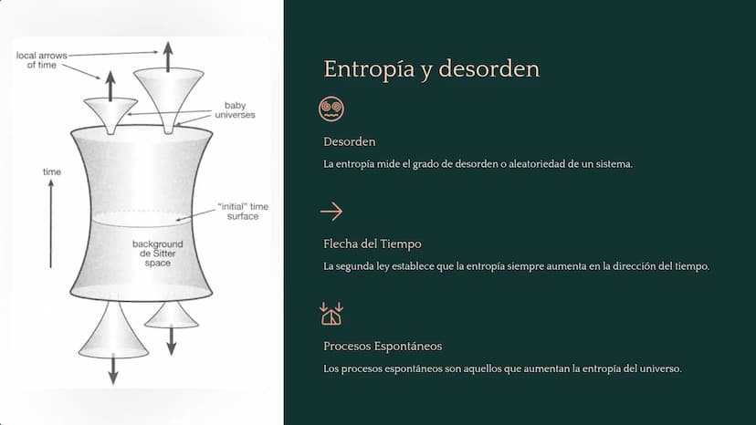 جارجا
ENERGY
PRODUCERS:
plants
L
DECOMPOSERS:
fungi, bacteria, worms
HEAT
CONSUMERS:
animals
la Termodinámica
La termodinámica es la rama de